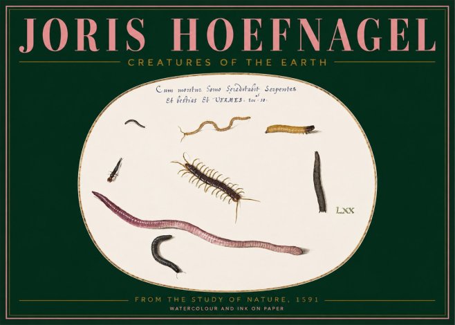 Joris Hoefnagel Creatures of the Earth II No2 - Affiche