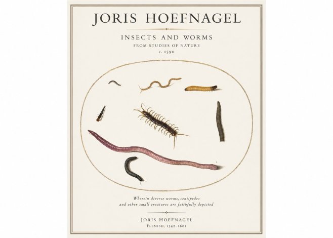 Joris Hoefnagel Creatures of the Earth II No5 - Affiche