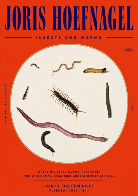 Joris Hoefnagel Creatures of the Earth II No6 - Affiche