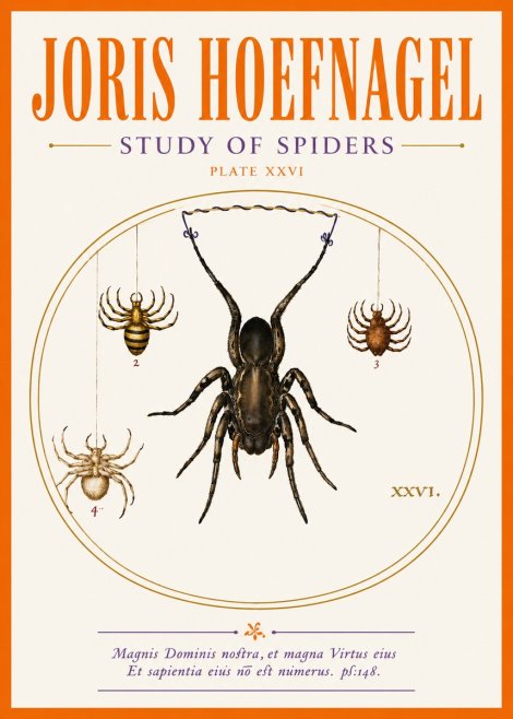 Joris Hoefnagel Study of Spiders No5 - Affiche
