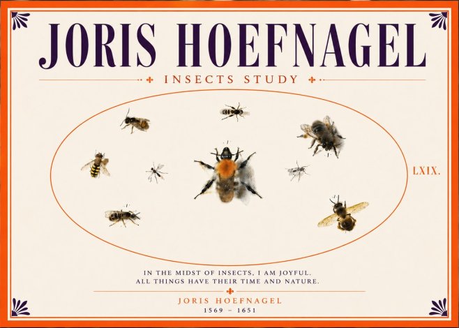 Joris Hoefnagel Insects Study II No5 - Affiche