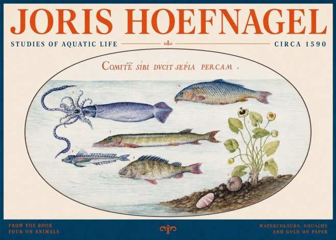 Joris Hoefnagel Comitẽ Sibi Ducit Sepia Percam. No2 - Affiche
