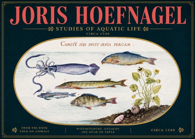 Joris Hoefnagel Comitẽ Sibi Ducit Sepia Percam. No5 - Affiche