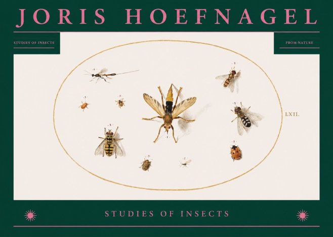 Joris Hoefnagel Studies of Insects IV No2 - Affiche