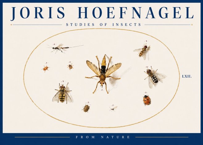 Joris Hoefnagel Studies of Insects IV No4 - Affiche