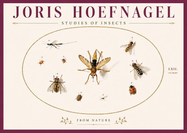 Joris Hoefnagel Studies of Insects IV No6 - Affiche