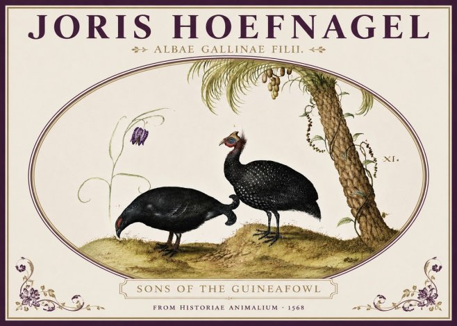 Joris Hoefnagel Albae Gallinae Filii. No4 - Affiche
