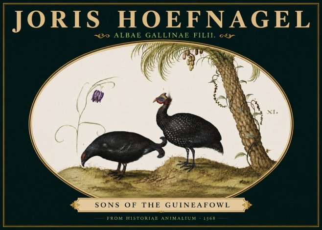 Joris Hoefnagel Albae Gallinae Filii. No5 - Affiche
