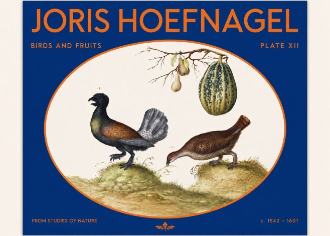 Joris Hoefnagel A Cock and Hen of the Woods with Pears and Gourd No2 - Affiche
