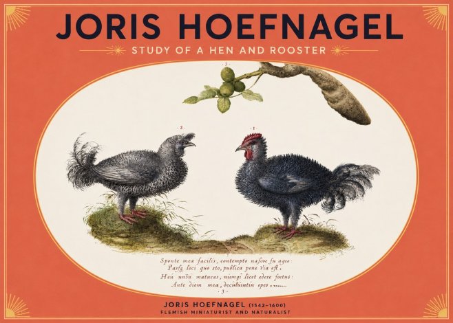 Joris Hoefnagel Study of a Hen and Rooster No3 - Affiche