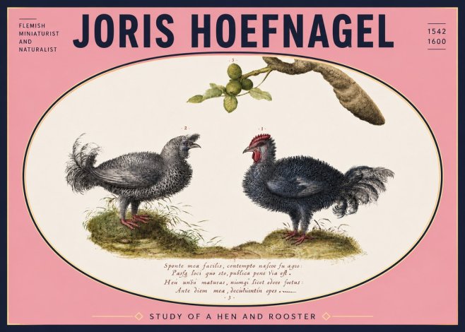 Joris Hoefnagel Study of a Hen and Rooster No5 - Affiche