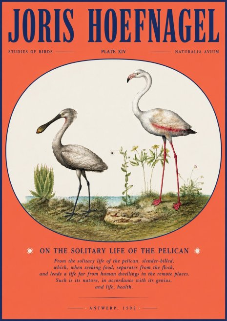 Joris Hoefnagel The Solitary Sanctuary of the Spoonbill and the Flamingo No4 - Affiche