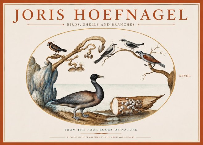 Joris Hoefnagel Birds, Shells and Branches No3 - Affiche