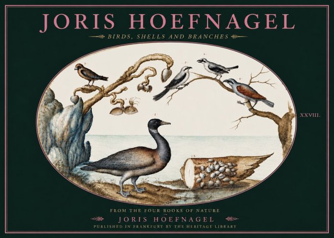 Joris Hoefnagel Birds, Shells and Branches No4 - Affiche