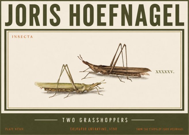 Joris Hoefnagel Two Grasshoppers No3 - Affiche