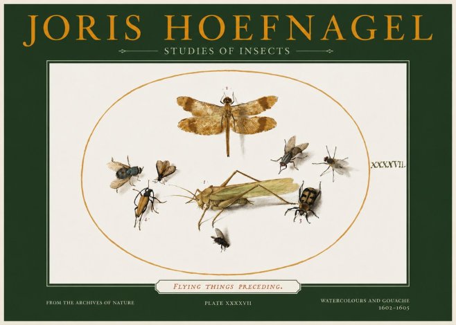 Joris Hoefnagel Flying Things Preceding. No2 - Affiche