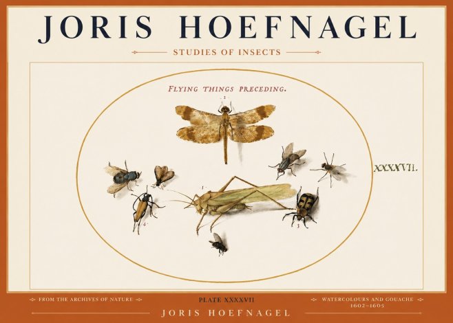 Joris Hoefnagel Flying Things Preceding. No3 - Affiche