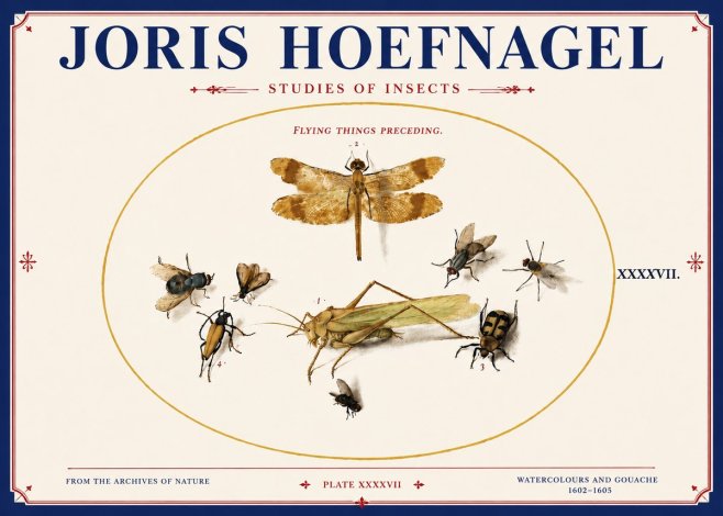 Joris Hoefnagel Flying Things Preceding. No4 - Affiche