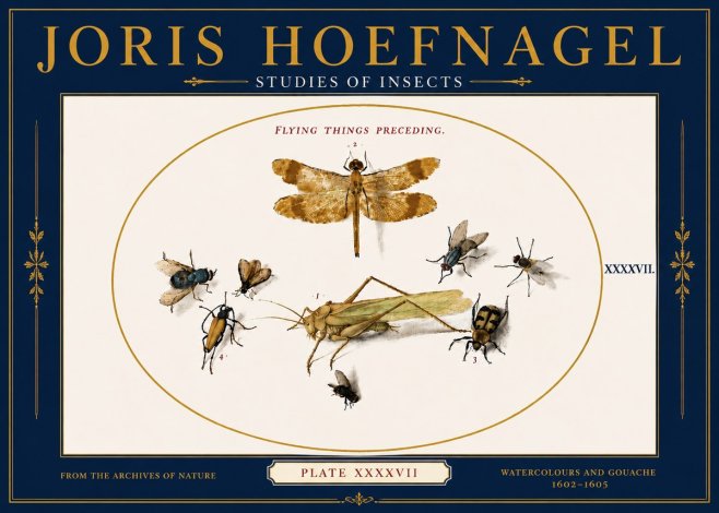 Joris Hoefnagel Flying Things Preceding. No6 - Affiche