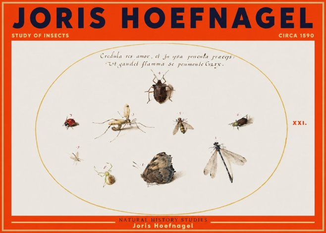 Joris Hoefnagel Study of Insects • Circa 1590 No3 - Affiche