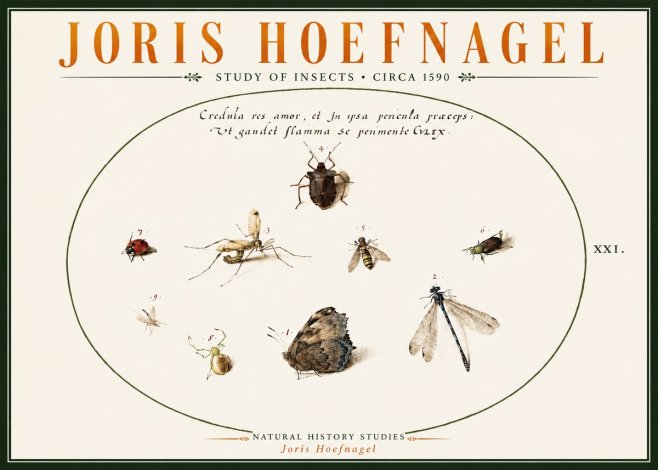 Joris Hoefnagel Study of Insects • Circa 1590 No6 - Affiche