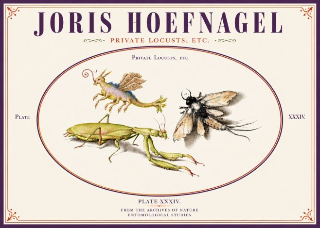 Joris Hoefnagel Privs Locvsta Bovem. No5 - Affiche