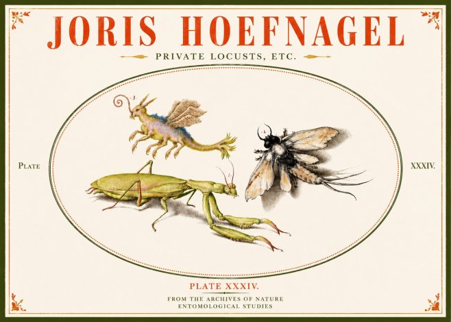 Joris Hoefnagel Privs Locvsta Bovem. No6 - Affiche