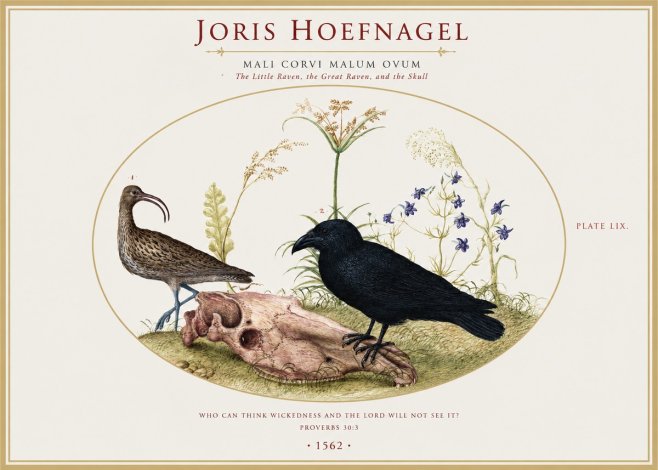 Joris Hoefnagel The Little Raven, the Great Raven, and the Skull No1 - Affiche