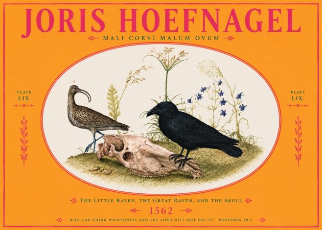 Joris Hoefnagel The Little Raven, the Great Raven, and the Skull No4 - Affiche
