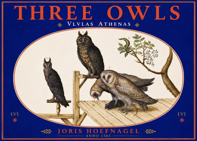 Joris Hoefnagel Vlvlas Athenas No5 - Affiche