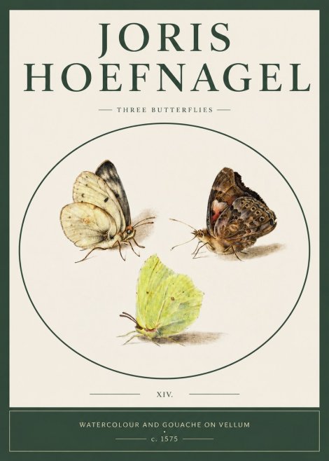 Joris Hoefnagel Three Butterflies II No2 - Affiche
