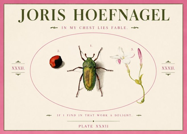 Joris Hoefnagel In My Chest Lies Fable No3 - Affiche