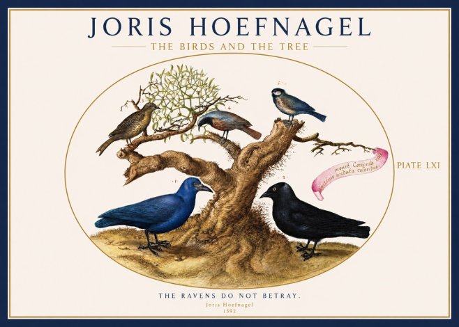 Joris Hoefnagel The Birds and the Tree No1 - Affiche