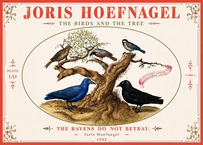 Joris Hoefnagel The Birds and the Tree No6 - Affiche