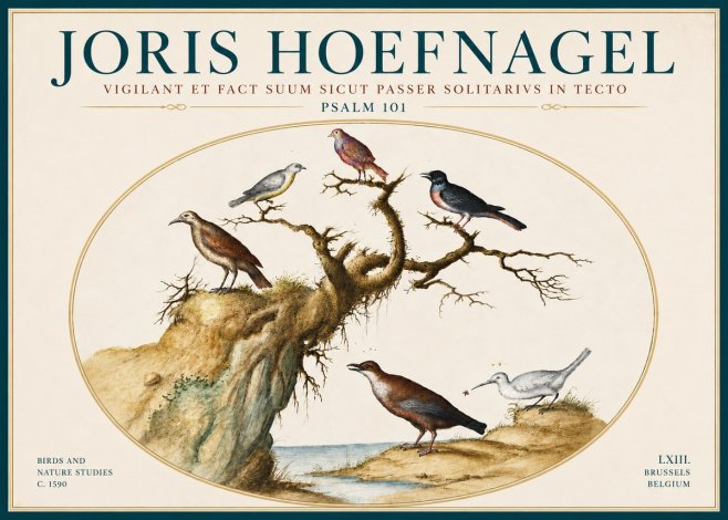 Joris Hoefnagel Vigilant Et Fact Suum Sicut Passer Solitarius in Tecto No6 - Affiche