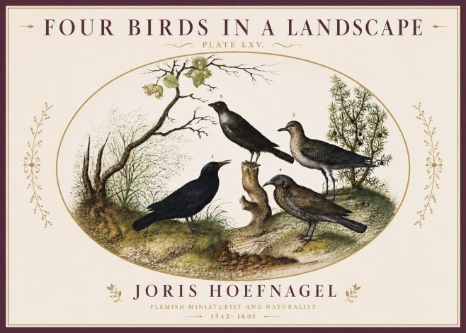 Joris Hoefnagel Four Birds in a Landscape No4 - Affiche