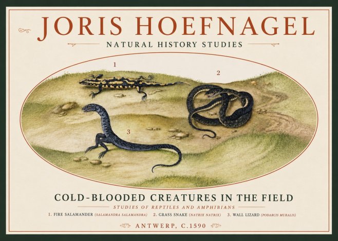 Joris Hoefnagel Cold-blooded Creatures in the Field No4 - Affiche