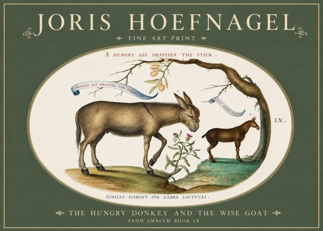 Joris Hoefnagel The Hungry Donkey and the Wise Goat No3 - Affiche