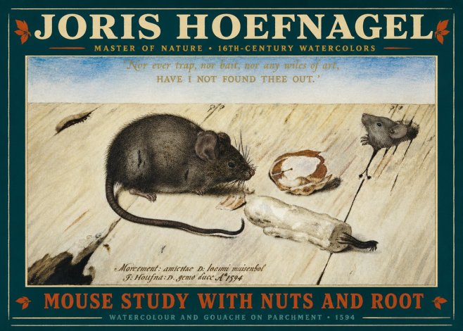 Joris Hoefnagel Mouse Study with Nuts and Root No2 - Affiche