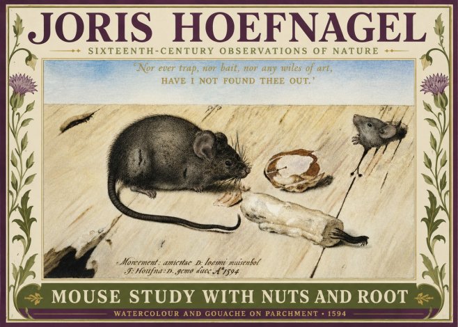 Joris Hoefnagel Mouse Study with Nuts and Root No3 - Affiche