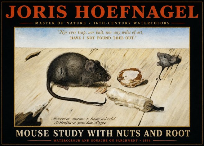 Joris Hoefnagel Mouse Study with Nuts and Root No4 - Affiche