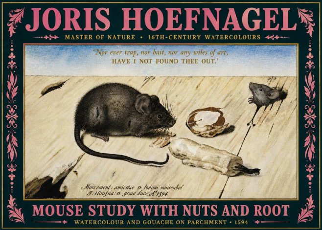 Joris Hoefnagel Mouse Study with Nuts and Root No5 - Affiche