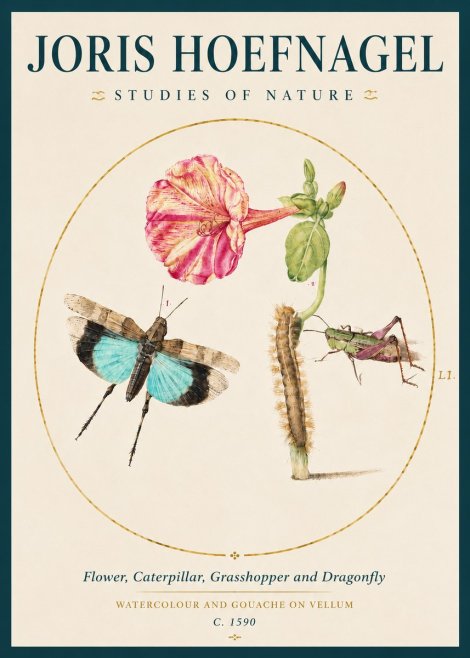Joris Hoefnagel Plate L1. Studies of Insects and Plants No4 - Affiche