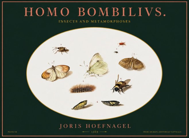 Joris Hoefnagel Homo Bombilivs. Insecta Et Metamorphoses No2 - Affiche