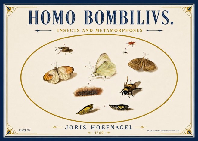 Joris Hoefnagel Homo Bombilivs. Insecta Et Metamorphoses No6 - Affiche