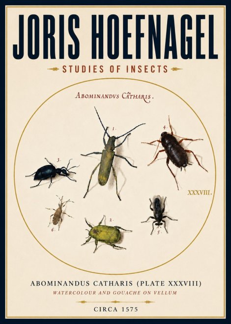 Joris Hoefnagel Abominandus Catharis (Plate Xxxviii) No4 - Affiche