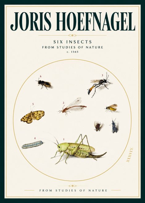 Joris Hoefnagel Six Insects from Studies of Nature C. 1565 No2 - Affiche