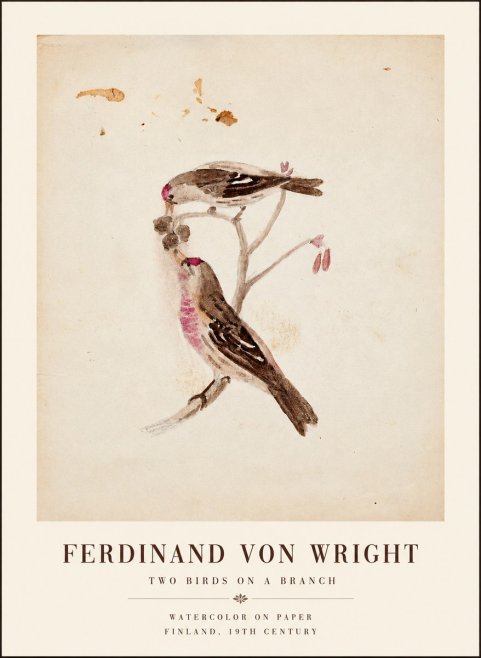 Ferdinand von Wright Two Birds on a Branch No1 - Affiche