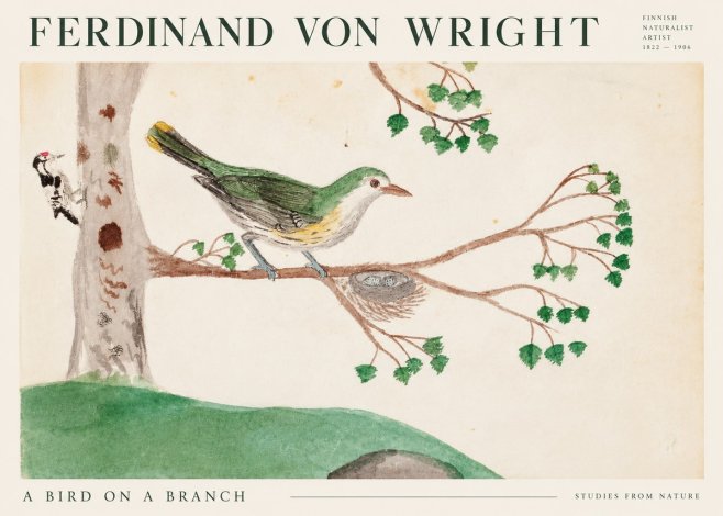 Ferdinand von Wright Green Warbler with Nest No3 - Affiche