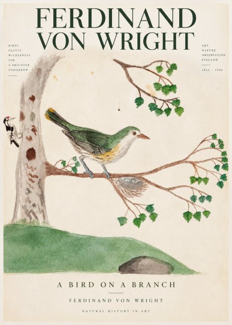 Ferdinand von Wright Green Warbler with Nest No4 - Affiche